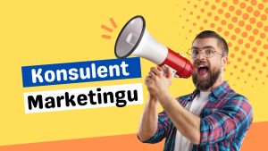 Konsulent Marketingu - Çfarë është një konsulent marketingu